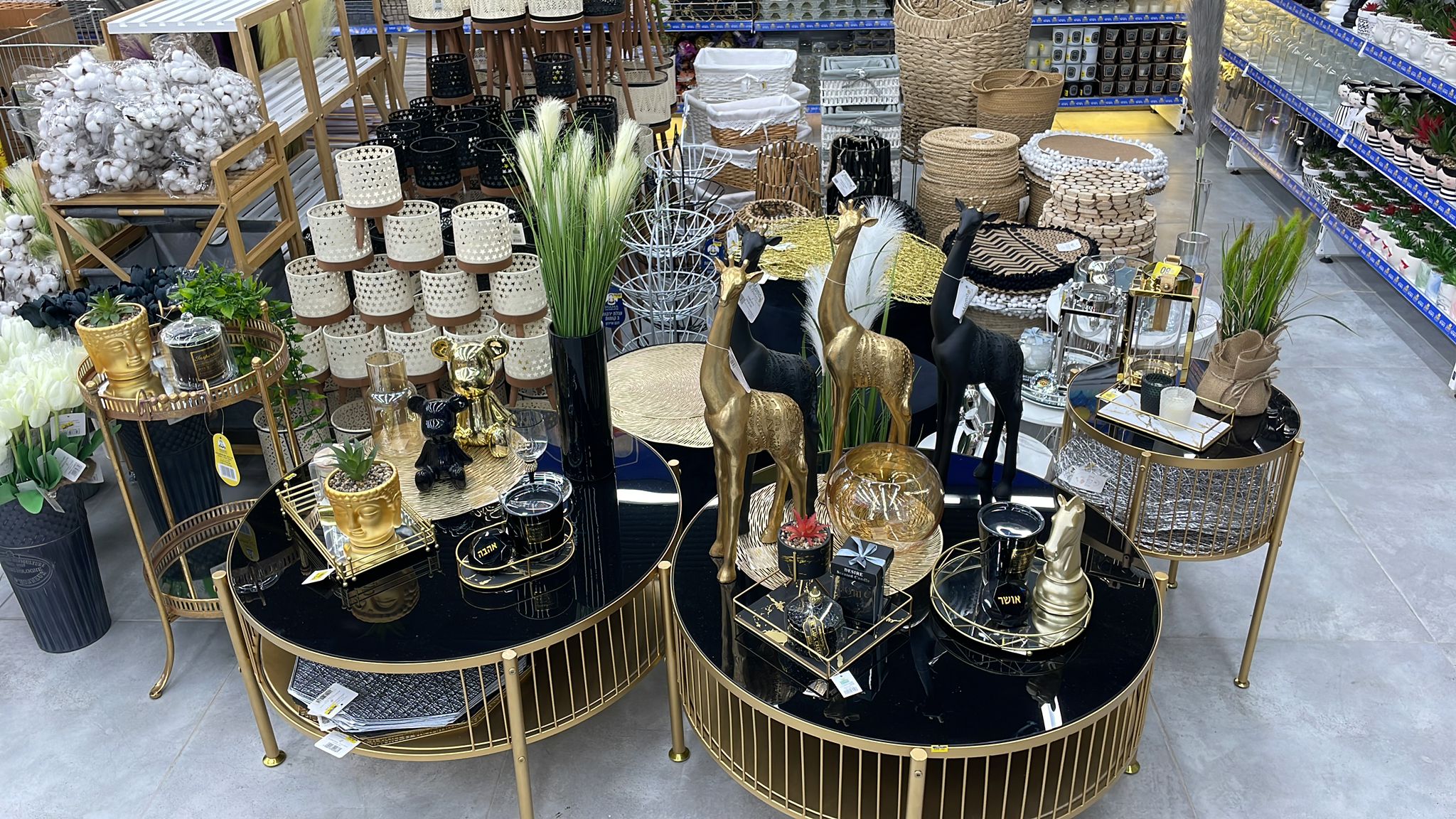 WhatsApp Image 2022-01-15 at 3.31.30 PM (2).jpeg